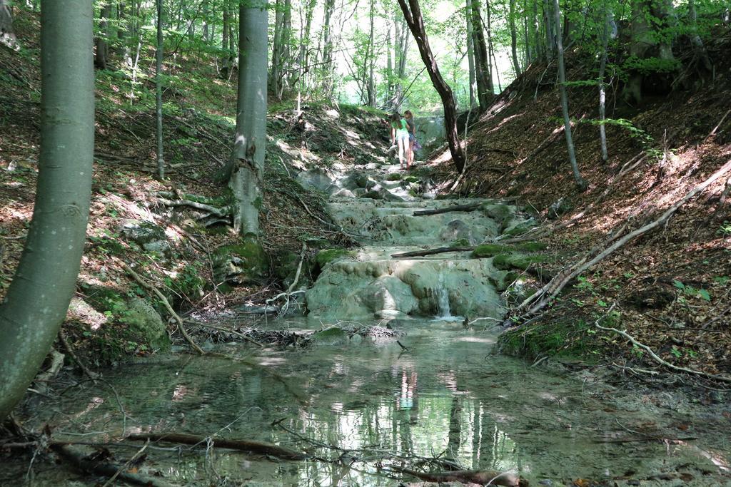 Penzion Drevenica Šumiac Buitenkant foto